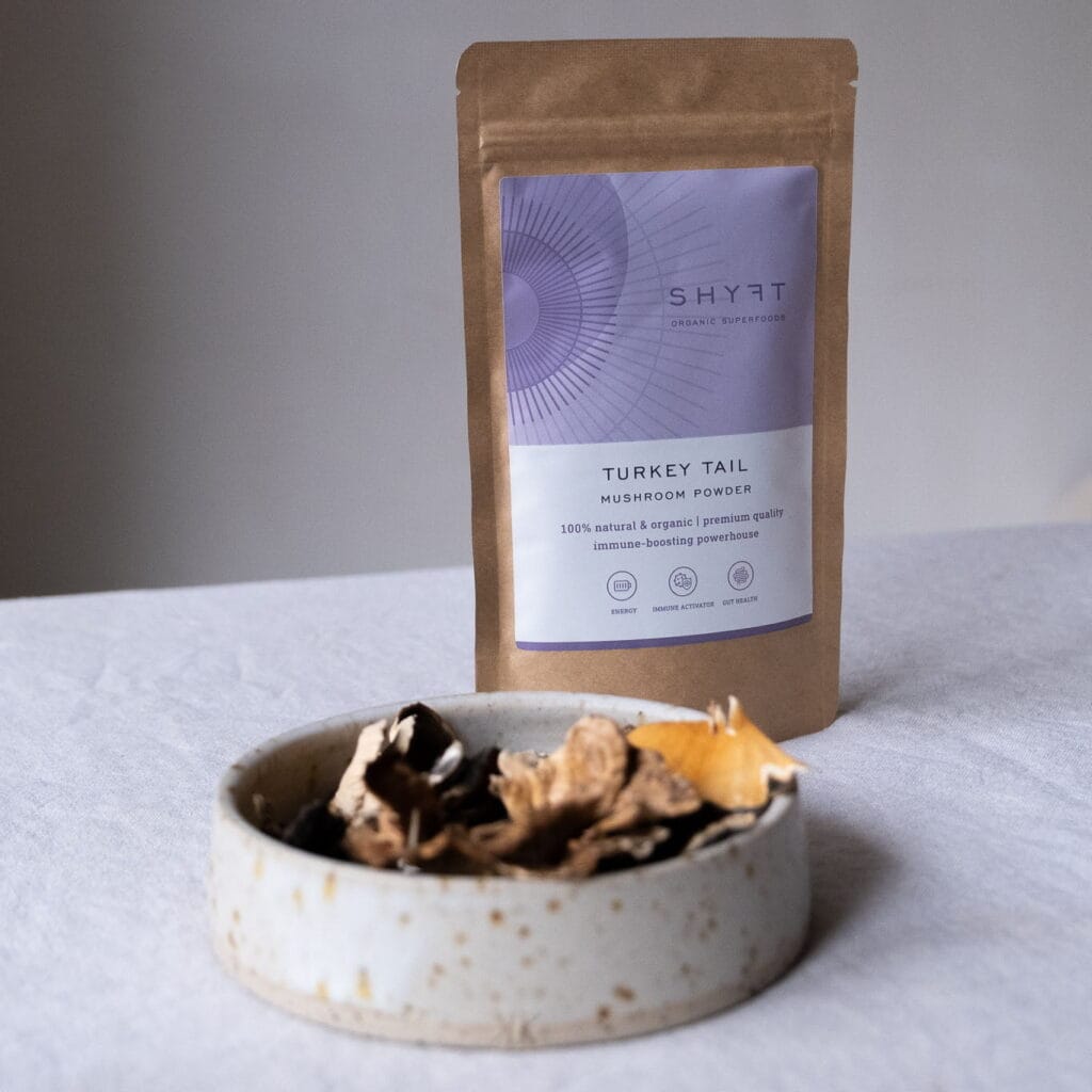 turkey tail medicine