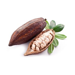 Cacao poeder extract