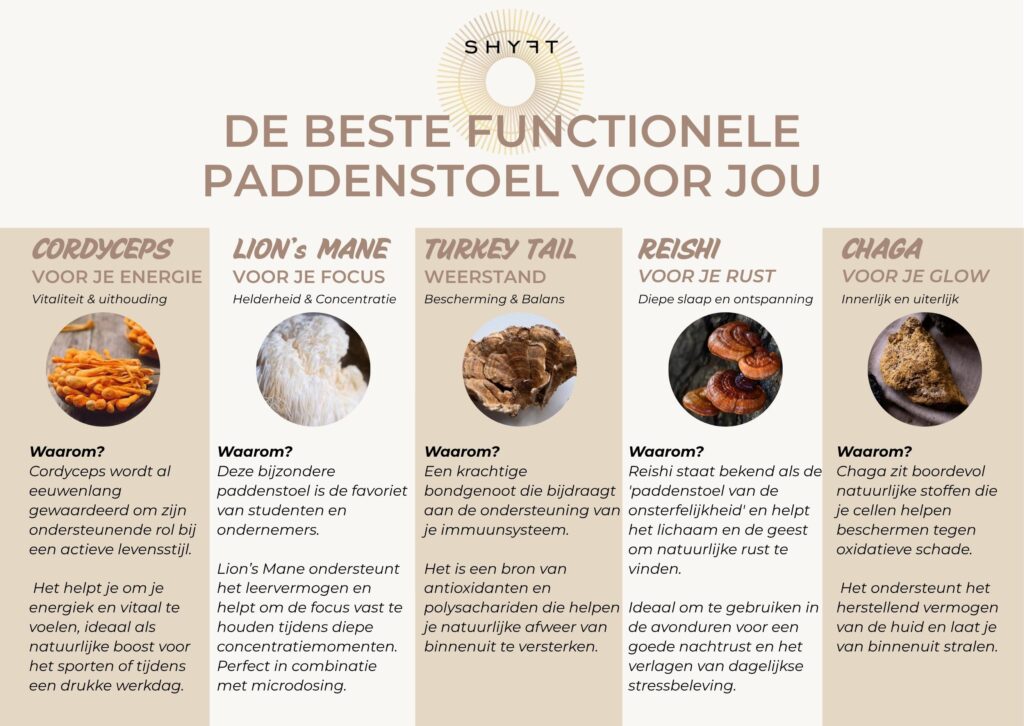 Overzicht van de belangrijkste functionele paddenstoelen Lion's Mane, Chaga, Reishi, Cordyceps en Turkey Tail